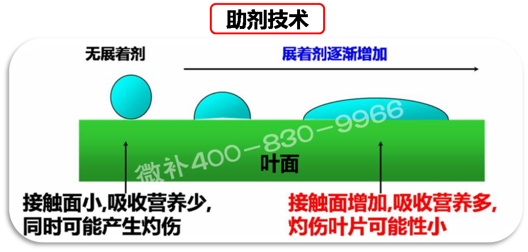 余教授德國(guó)鄉(xiāng)村行：我在德國(guó)為什么不會(huì)點(diǎn)啤酒了？