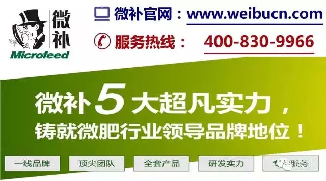 余教授奧地利維也納行：不懂音樂的農(nóng)民教授，在音樂之都的感受